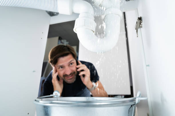 Best Plumbing Repair Near Me  in Lakeview, MI