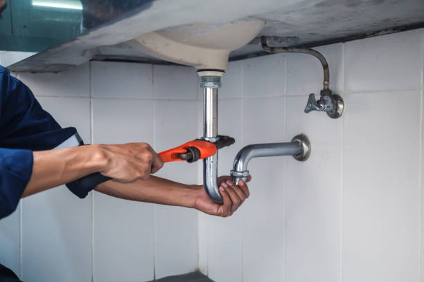 Lakeview, MI Plumbing Pros
