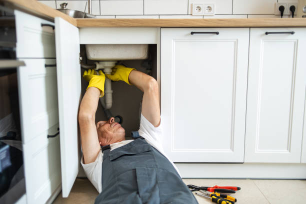 Best Sprinkler Systems  in Lakeview, MI