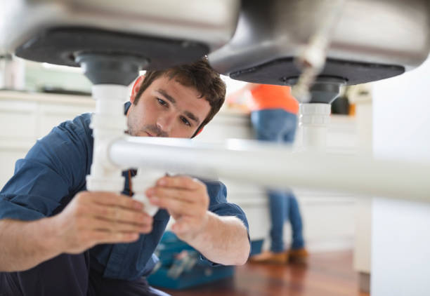 Best Leak Detection Services  in Lakeview, MI