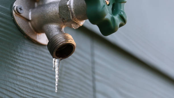 Best Commercial Plumbing Services  in Lakeview, MI
