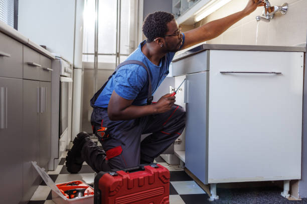 Best Affordable Plumbing Services  in Lakeview, MI